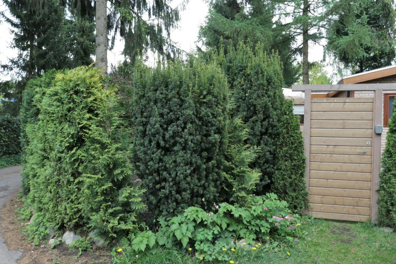 Veluwehuisje Speulderbos Villa Putten Eksteriør bilde